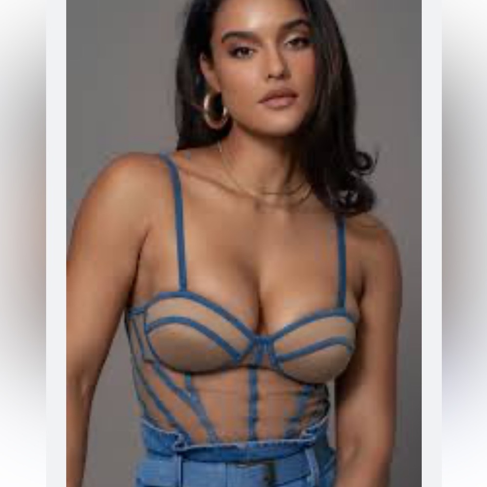 Blue and Tan Sheer Bustier Top